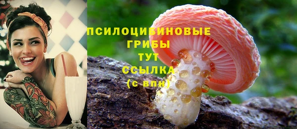 ALPHA PVP Шадринск