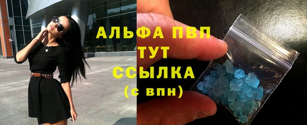 тгк Нея