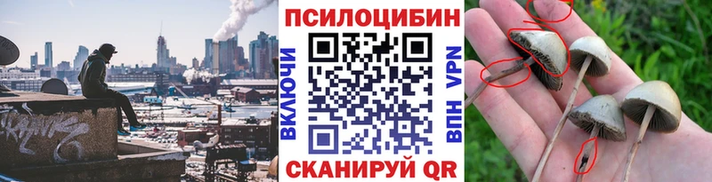 гидра   Белая Холуница  Галлюциногенные грибы ЛСД  купить наркотик 